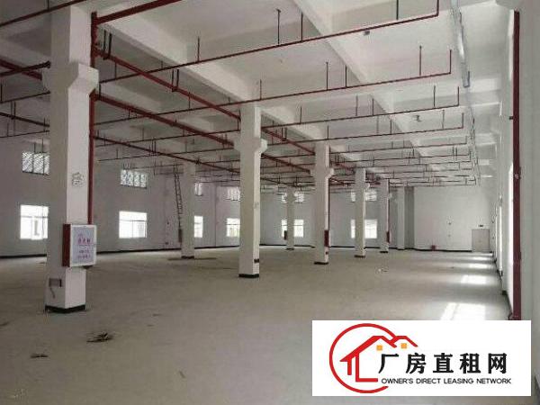 
		龙岗原房东标准一楼1183平米出租可分租
	