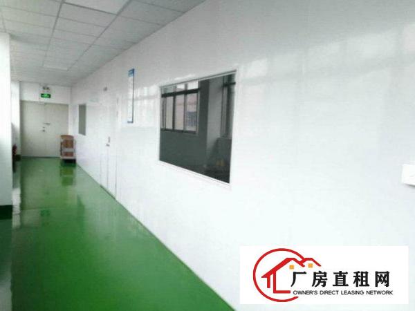 
		南联村工业园640平厂房带全新地坪漆出租，无尘车间
	