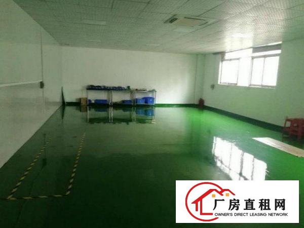 
		南联村工业园640平厂房带全新地坪漆出租，无尘车间
	