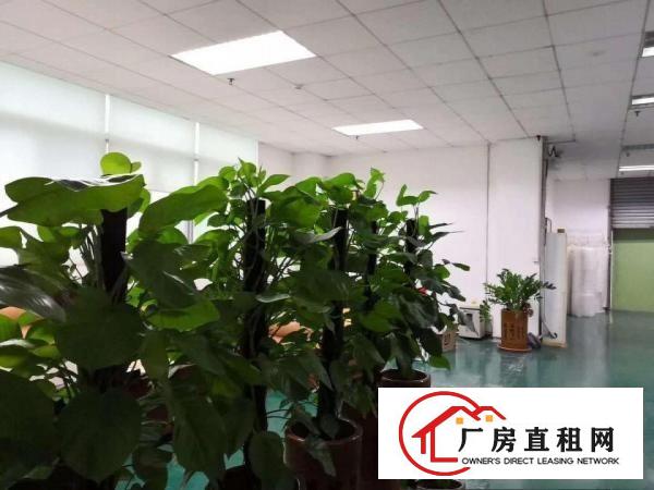 
		嶂背楼上带精装修厂房850平出租适合电商办公电子行业等
	
