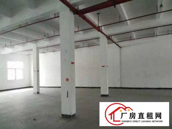 
		出租龙岗区嶂背标准二楼1500平方，现成办公室消防喷淋
	