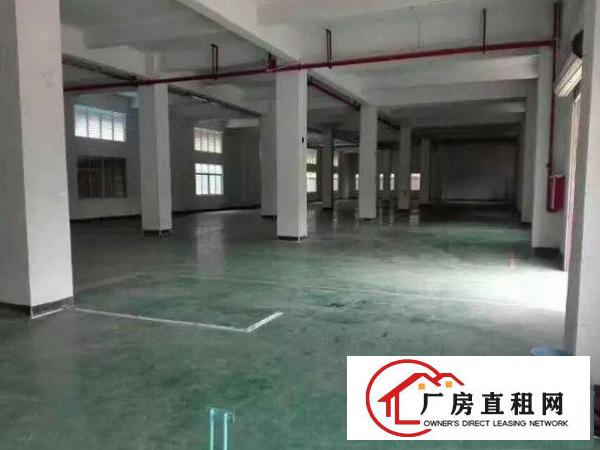 
		出租龙岗区嶂背标准二楼1500平方，现成办公室消防喷淋
	