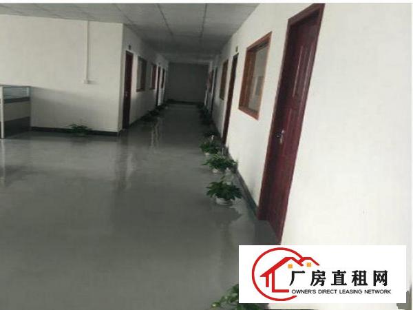 
		出租龙岗区五联一楼750平方二楼1200方标准厂房分租
	