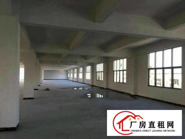 
		出租龙岗区同乐新出6.5米高标准厂房750平米水电线路齐全
	