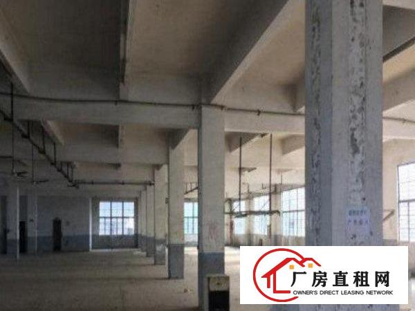 
		龙岗区龙东新出楼上2000平方标准厂房招租
	