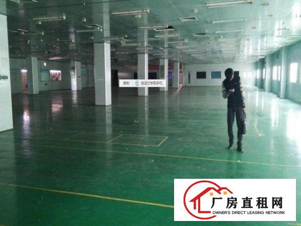 
		龙岗区龙城新岀独门独院3000平带精装修厂房招租
	