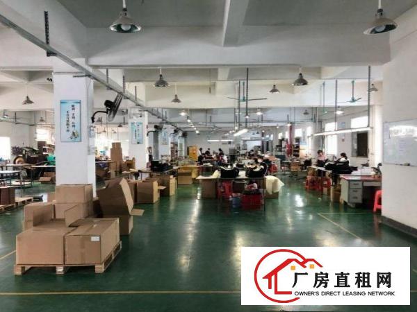 
		龙岗区龙岗2楼标准厂250平方房出租，带豪华装修！
	
