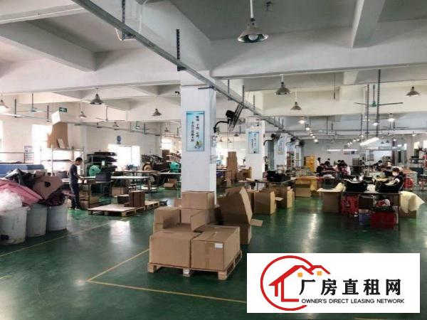 
		龙岗区龙岗2楼标准厂250平方房出租，带豪华装修！
	