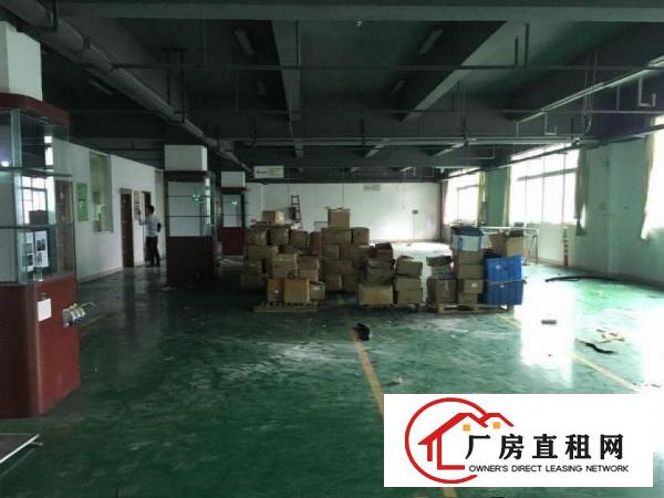 
		出租龙岗区龙岗新出楼上带豪华装修标准厂房350平方有消防喷淋
	