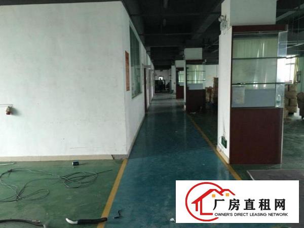 
		出租龙岗区龙岗新出楼上带豪华装修标准厂房350平方有消防喷淋
	