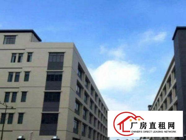 
		出租龙岗区宝龙标准厂房一楼900平带消防喷淋
	