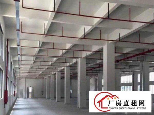 
		出租龙岗区宝龙标准厂房一楼900平带消防喷淋
	
