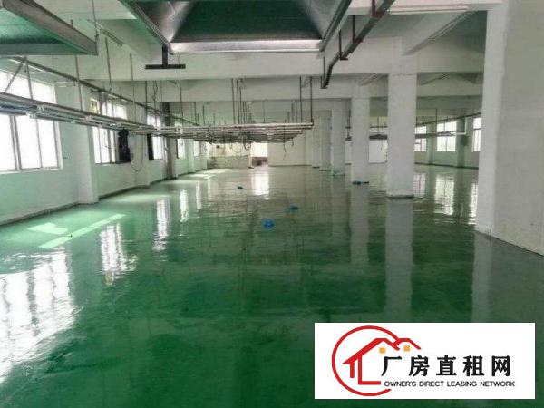 
		出租龙岗区同乐带全新豪华装修,标准2000平
	