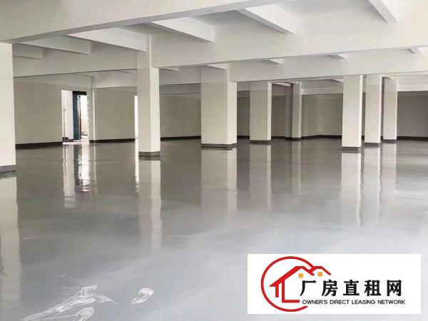 
		龙岗新出厂房单一层三千平500平起分租
	