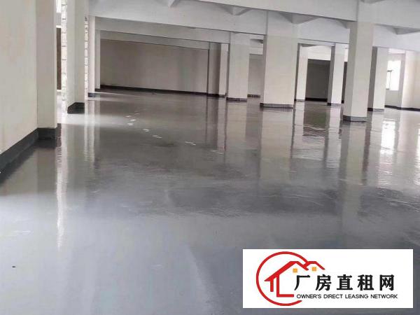 
		龙岗新出厂房单一层三千平500平起分租
	