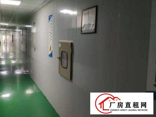 
		龙岗原房红本带无尘车间装修1800平方出租
	