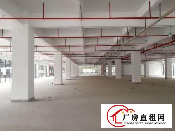 
		龙岗新兴工业区6000平可分租
	