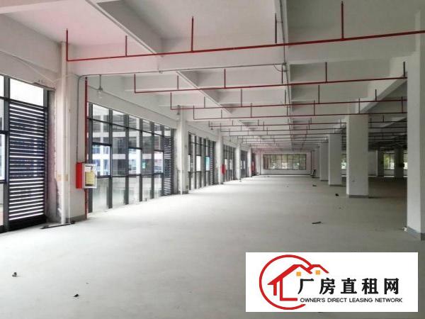 
		龙岗新兴工业区6000平可分租
	