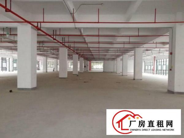 
		龙岗新兴工业区6000平可分租
	