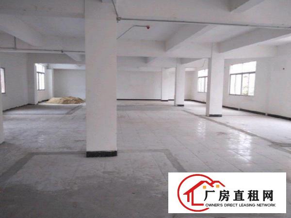 
		龙岗同乐办公楼800平米大小分租有装修
	