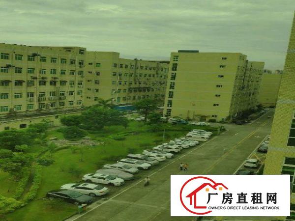 
		龙岗宝龙厂房800平米分租
	