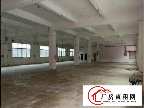 
		出租龙岗区龙东楼上1200平方楼上带消防喷淋厂房
	