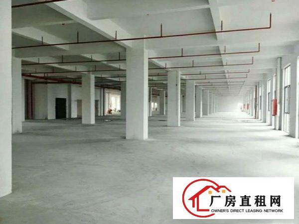 
		出租龙岗区龙东1楼3000平带精装修厂房
	