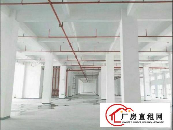 
		出租龙岗区龙东1楼3000平带精装修厂房
	