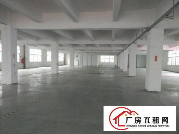 
		出租龙岗区龙东原房东独院厂房4200平带红本
	