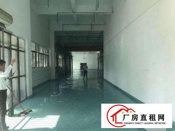 
		龙岗嶂背一楼注塑仓库机加工600平空地大可办环评
	