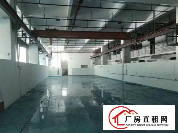 
		龙岗嶂背一楼注塑仓库机加工600平空地大可办环评
	