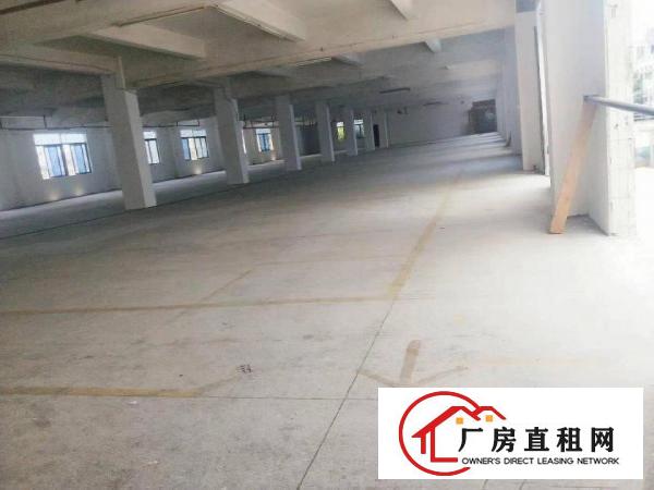
		坪山新出一楼600平厂房出租有500平空地
	