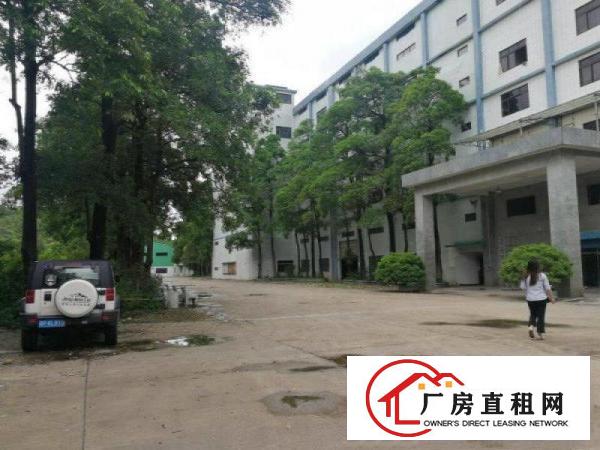 
		坪地新出6000平楼上厂房出租，带精装修办公室
	