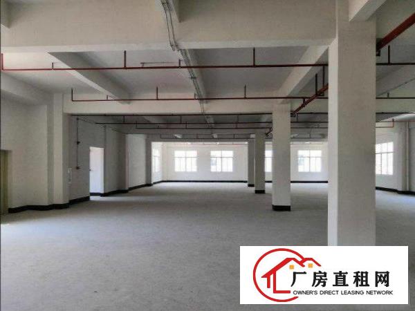 
		出租龙岗区五联一楼550平方精装办公带电梯
	