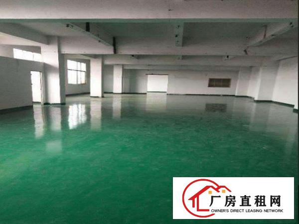 
		出租龙岗龙城新出楼上530平方出租精装修水电齐全
	