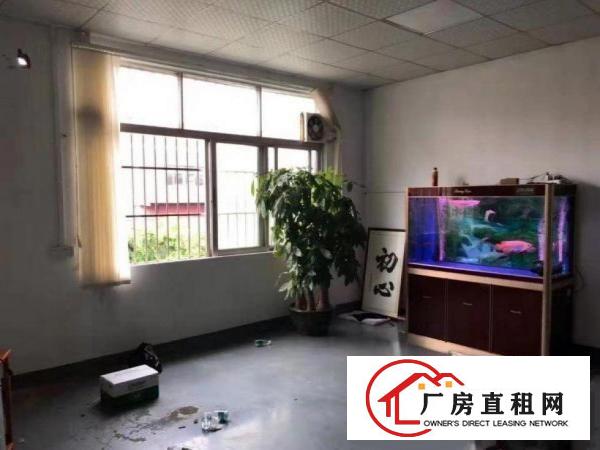 
		龙岗区龙东新出一楼800平方6米高厂房现招租
	