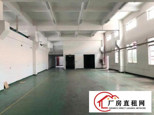 
		龙岗区南联实际面积出租，1楼800平方高6米，带牛角位
	
