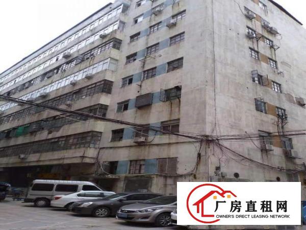 
		一手正规房源出租
	