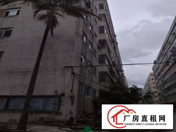 
		一手正规房源出租
	