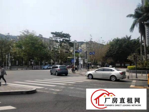 
		出租龙岗大型厂房，面积80000平可分租
	