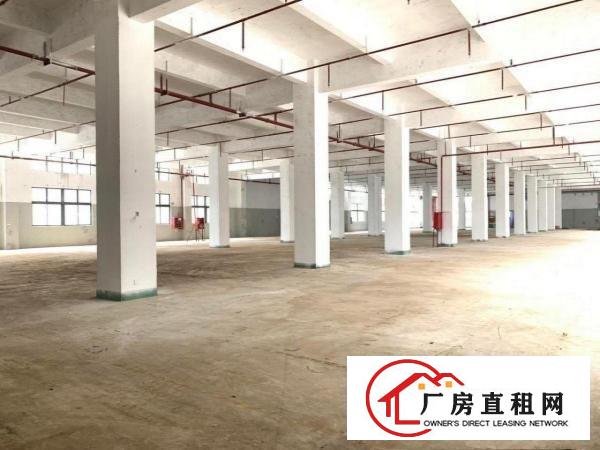 
		宝龙工业园新出原房东一楼厂房2400平方6米高带喷
	