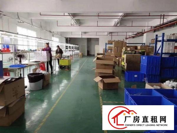 
		龙岗大道旁新出楼上670平精装修出租
	