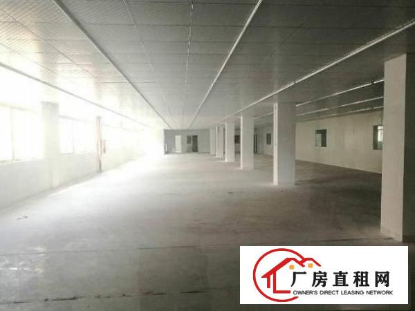 
		龙岗15471平原房东带红本全新独院厂房出租！
	