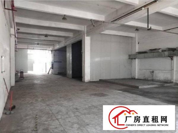 
		出租龙岗区中心城工业区新出一楼300平，带办公室，水电到位
	