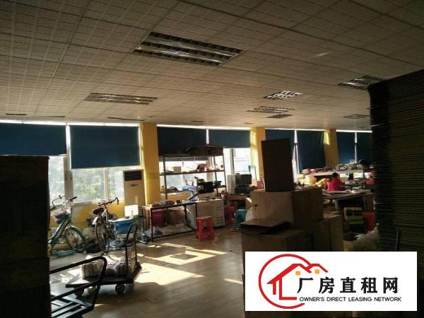 
		龙东新出楼上800平大小分租
	