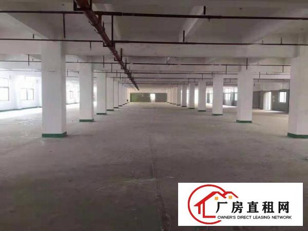 
		龙岗宝龙原房东大型工业园区厂房12500招租带红本
	