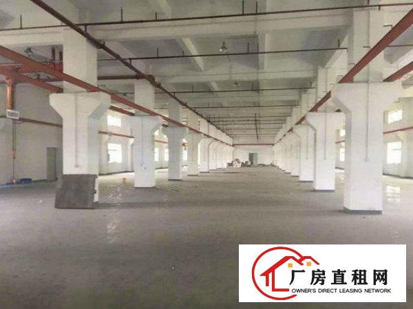 
		龙岗区嶂背现有原房东标准一楼厂房1000平米出租
	