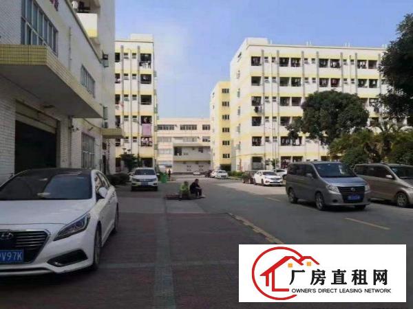 
		龙岗龙城街道新出1楼精装修300平厂房分租空地大
	