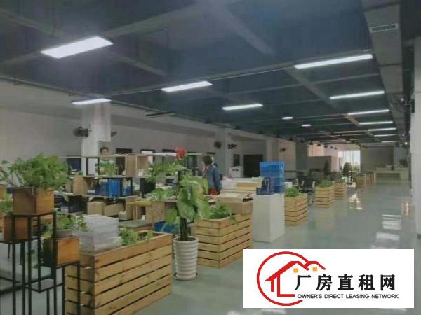 
		龙岗区龙岗出租3楼430平方装修厂房水电齐全
	