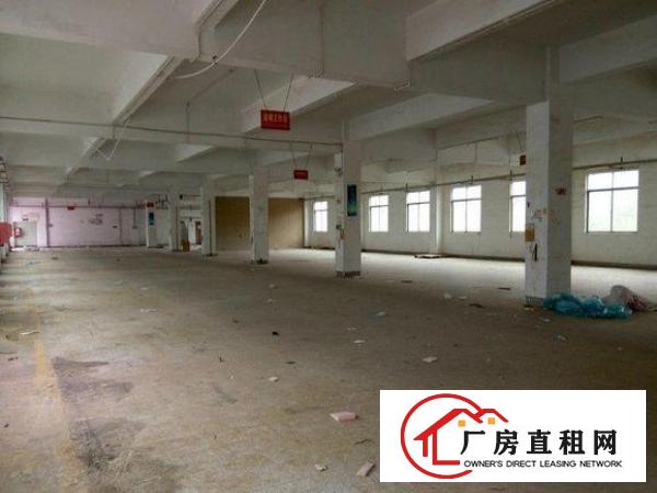 
		出租龙岗区南联标准一楼厂房800平方米无公摊
	